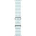 Obrázok pre výrobcu Apple Watch 49mm Ice Blue Ocean Band - Natural Titanium Finish